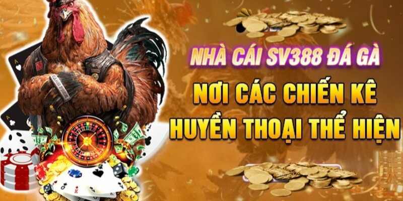 Đá Gà SV388 - Sảnh Đá Gà Trực Tuyến #1 Cực Sôi Động