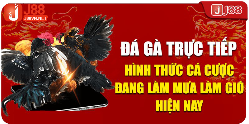 Các hình thức đá gà trực tuyến hấp dẫn nhất trên J88